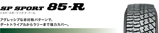 ダンロップ エスピー スポーツ 85-R 185/65R14 86Q 商品説明イメージ