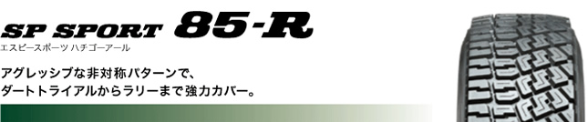 ダンロップ エスピー スポーツ 85-R 185/60R15 84Q 商品説明イメージ